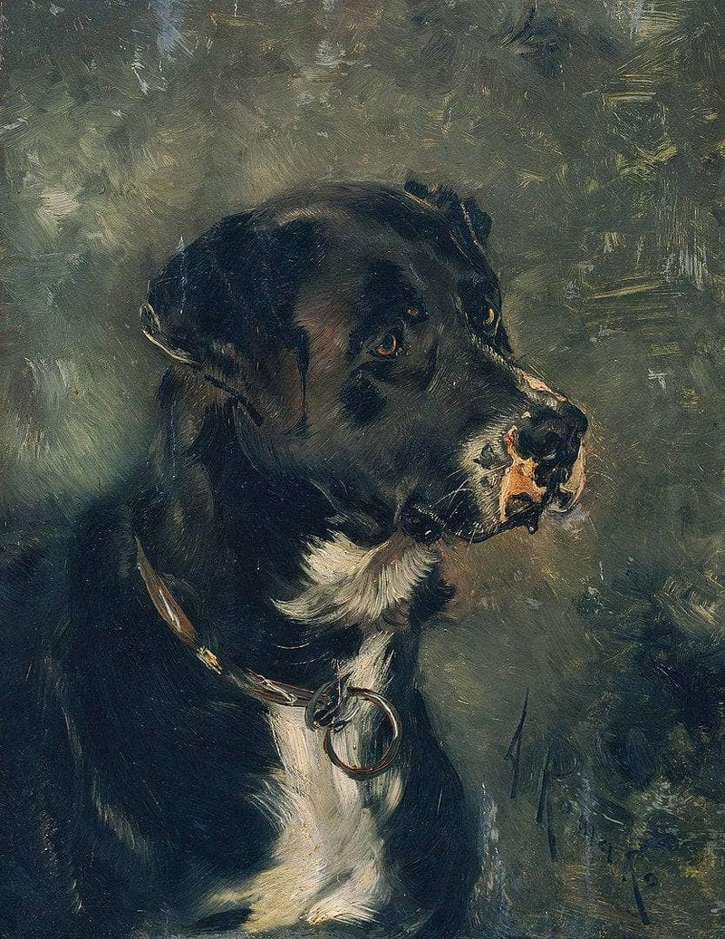 Head of a butcher's dog by Anton Romako — Oil Painting Reproduction