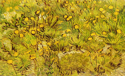 A Field of Yellow Flowers in apartment