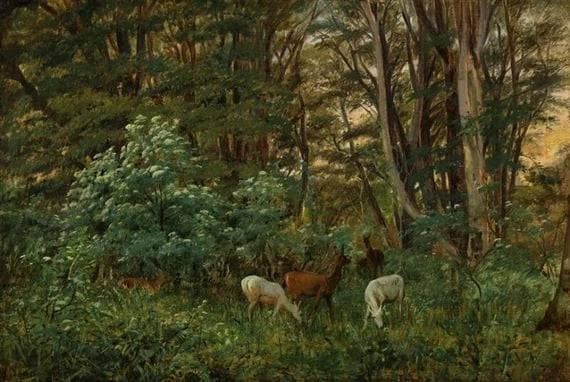 A Flock Of Hinds In The Forest by Jørgen Sonne — Oil Painting Reproduction