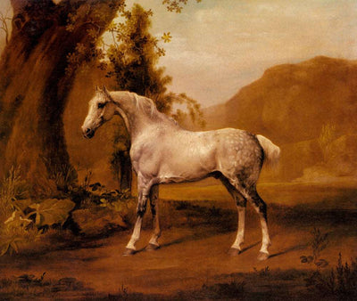 A Grey Stallion In A Landscape in study