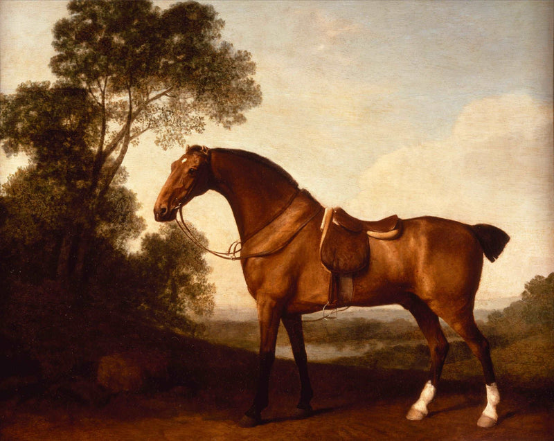 A Saddled Bay Hunter by George Stubbs — Oil Painting Reproduction