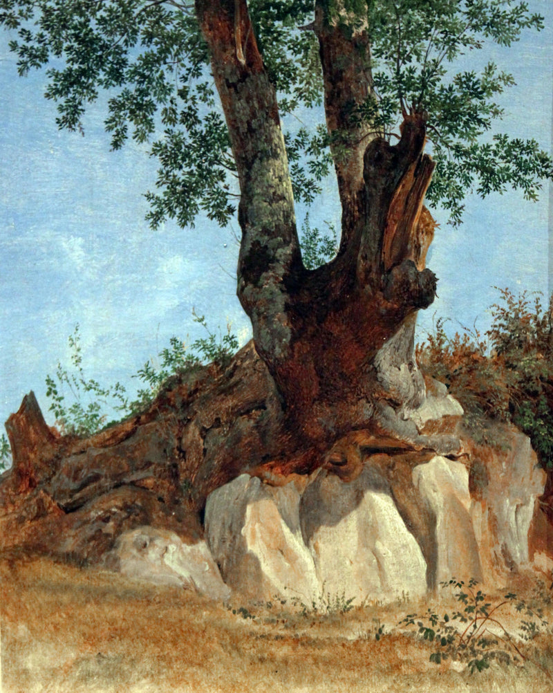 A Tree in the Campagna by Heinrich Reinhold — Oil Painting Reproduction