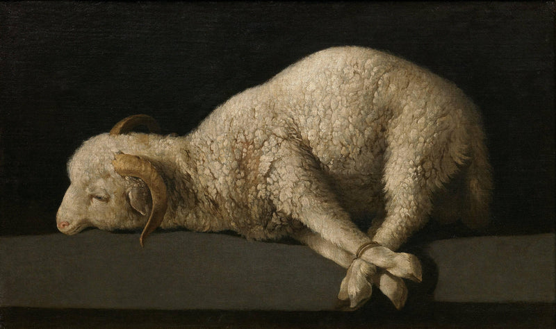 Agnus Dei by Francisco de Zurbaran — Oil Painting Reproduction