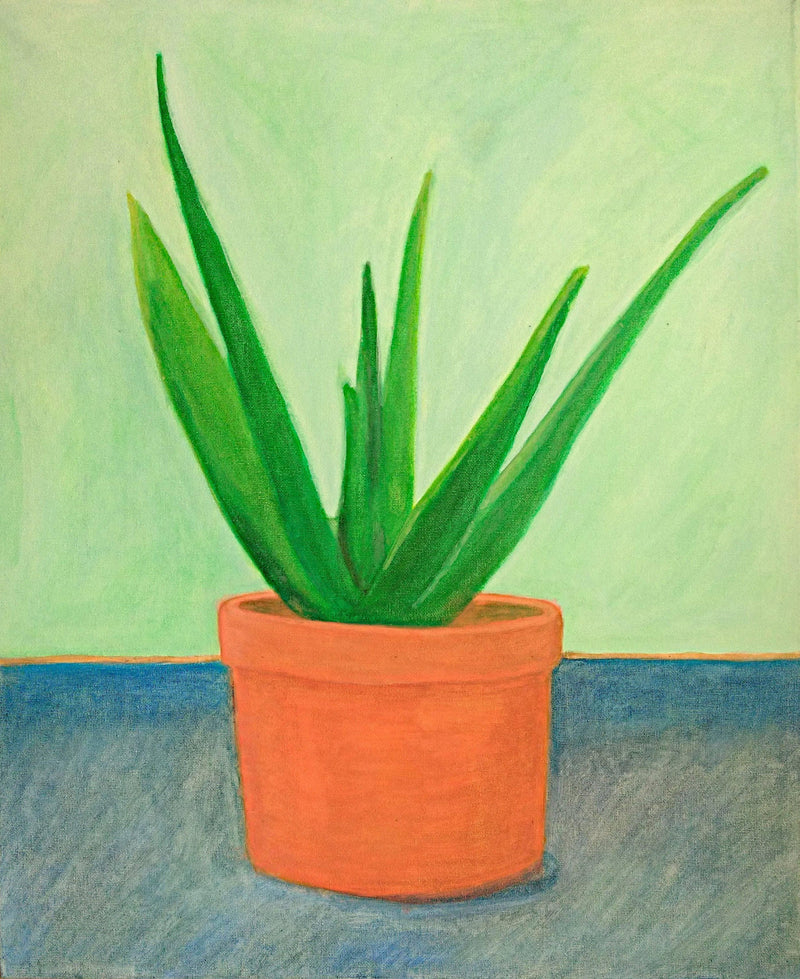 Aloe Vera by Gregorio Undurraga — Oil Painting Reproduction