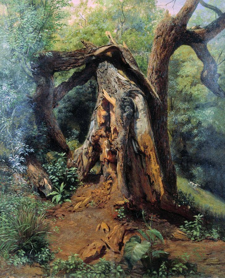 An old tree by Lev Lagorio — Oil Painting Reproduction