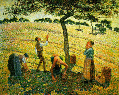 Apple Picking at Eragny-sur-Epte in study