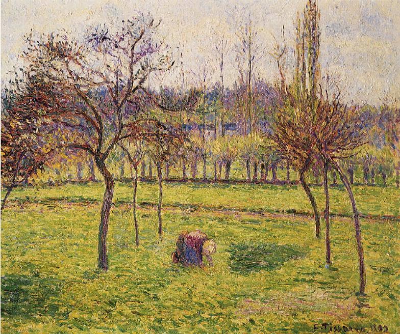 Apple Trees in a Field by Camille Pissarro — Oil Painting Reproduction