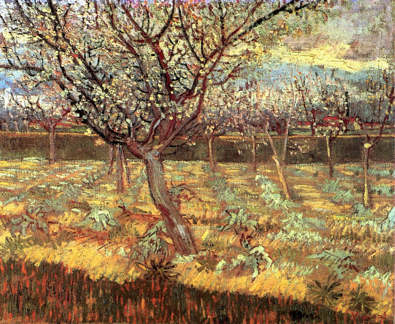Apricot Trees in Blossom by Vincent van Gogh — Oil Painting Reproduction