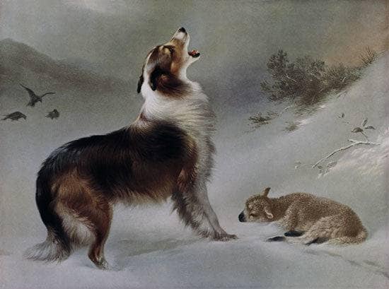 Dog by August Friedrich Schenck — Oil Painting Reproduction