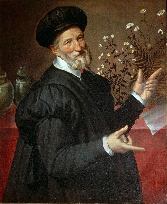 Portrait of a Botanist (Ulisse Aldrovandi?) by Bartolomeo Passerotti — Oil Painting Reproduction