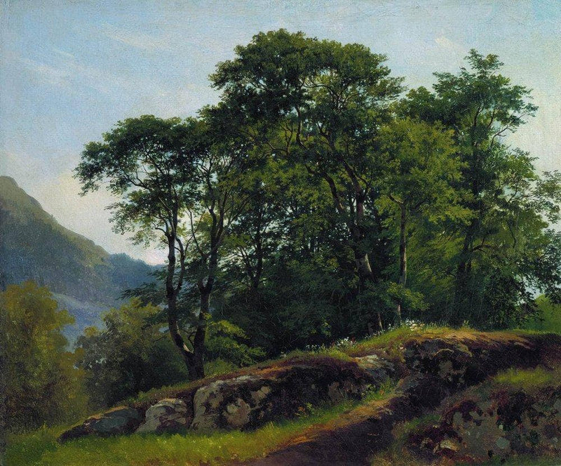 Beech Forest in Switzerland by Ivan Shishkin — Oil Painting Reproduction