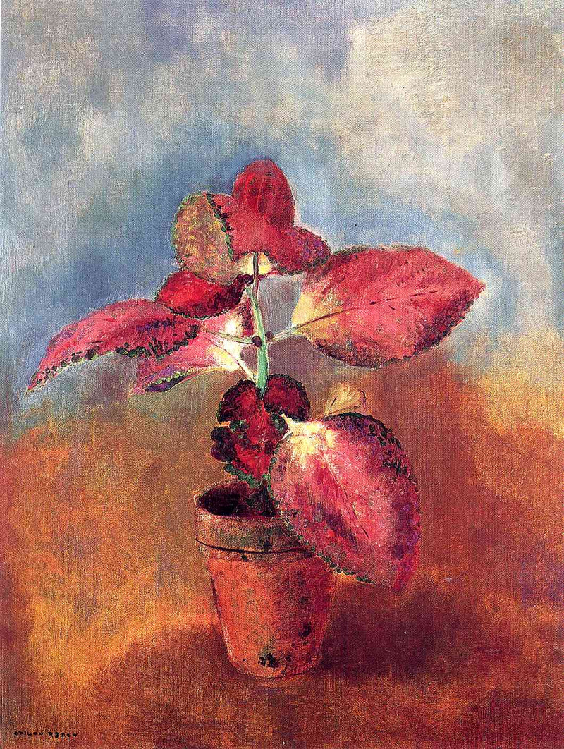 Begonia in a Pot by Odilon Redon — Oil Painting Reproduction