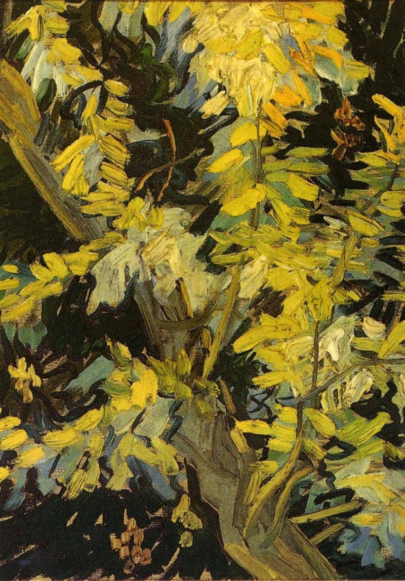 Blossoming Acacia Branches by Vincent van Gogh — Oil Painting Reproduction