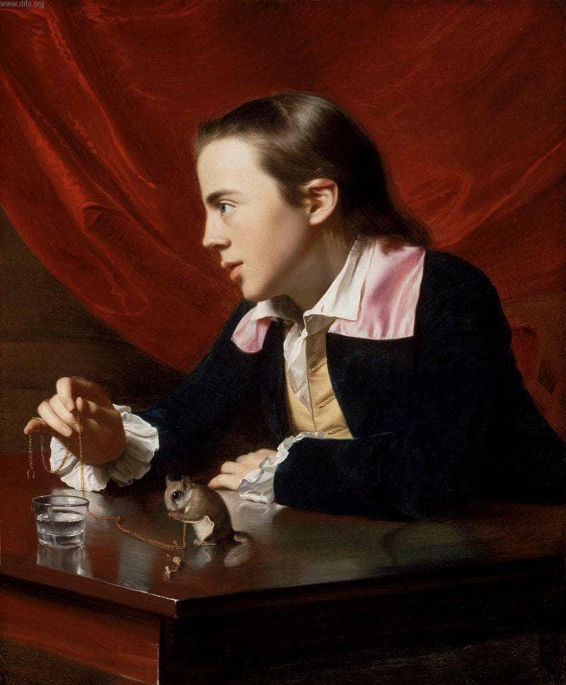 Boy with Squirrel (Henry Pelham) by John Singleton Copley — Oil Painting Reproduction