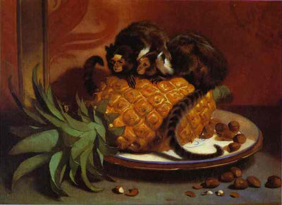 Brazilian Marmosets in dining room