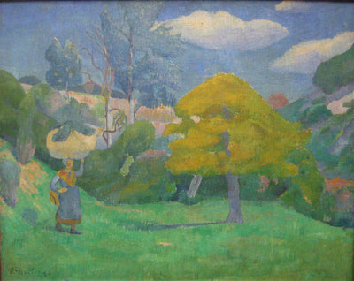 Breton woman going to the washing place in apartment