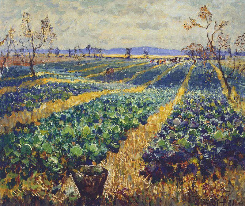 Cabbage Field by Konstantin Gorbatov — Oil Painting Reproduction