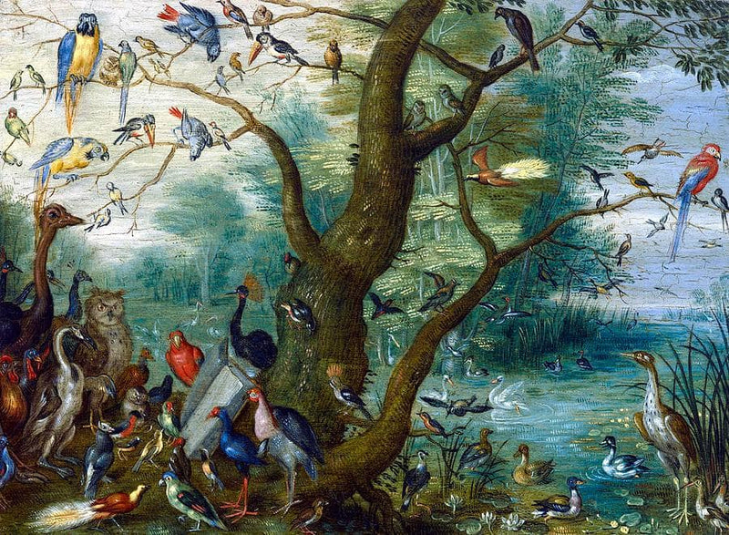 Concert of Birds by Jan van Kessel the Elder — Oil Painting Reproduction