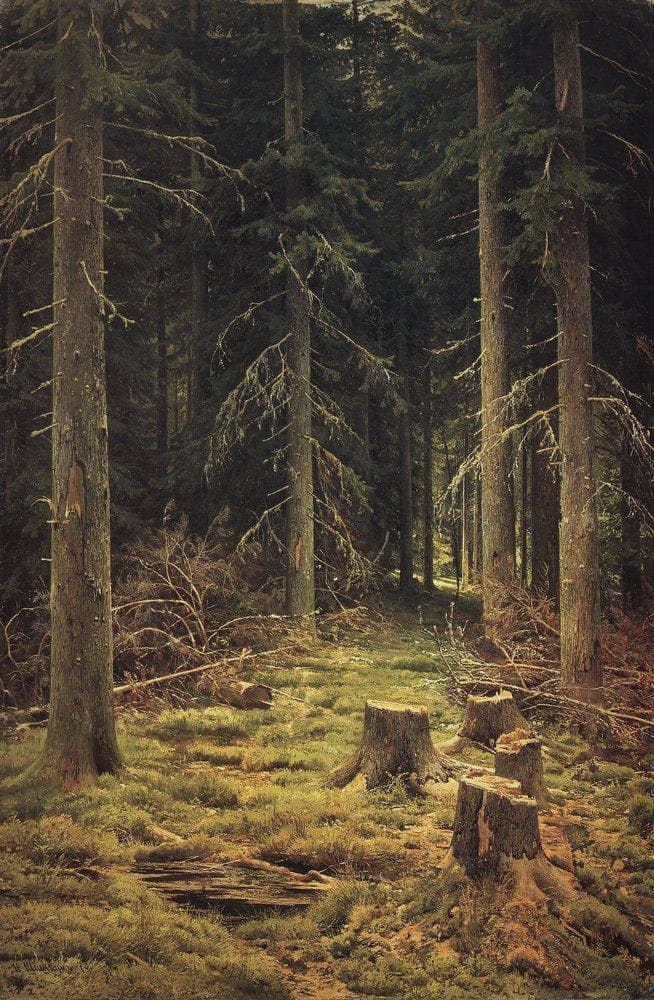 Coniferous Forest by Ivan Shishkin — Oil Painting Reproduction