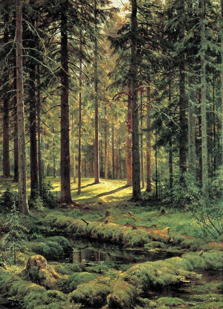 Coniferous Forest. Sunny Day by Ivan Shishkin — Oil Painting Reproduction