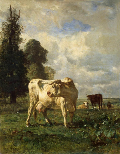Cows in the Field in study
