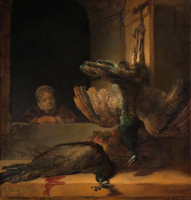 Dead peacocks by Rembrandt — Oil Painting Reproduction