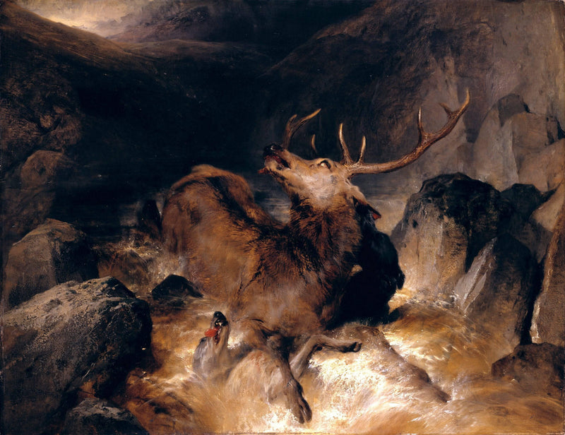 Deer and Deer Hounds in a Mountain Torrent by Edwin Henry Landseer — Oil Painting Reproduction