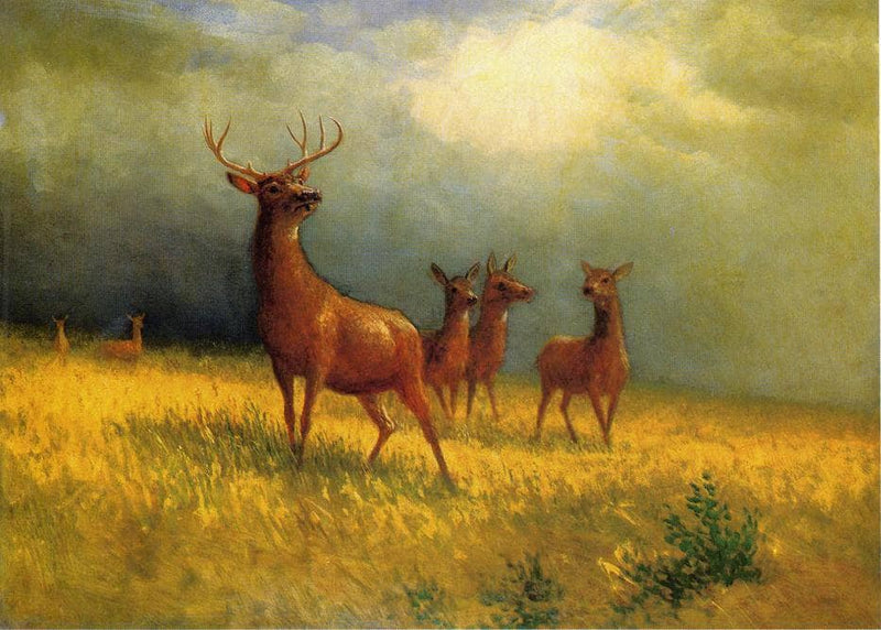 Deer in a Field by Albert Bierstadt — Oil Painting Reproduction