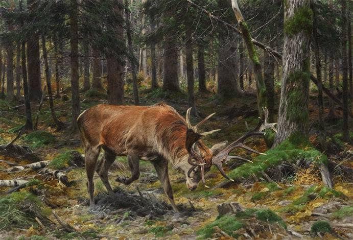 Deer in a Forest Glade by Richard Friese — Oil Painting Reproduction
