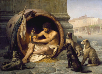 Diogenes in bedroom