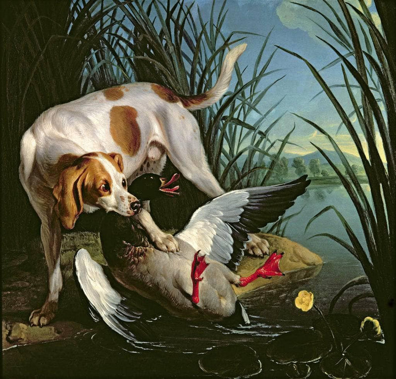 Dog with a wild duck by Jean-Baptiste Oudry — Oil Painting Reproduction