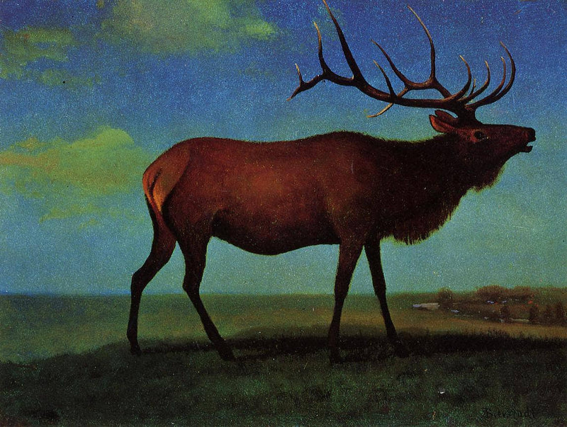 Elk by Albert Bierstadt — Oil Painting Reproduction