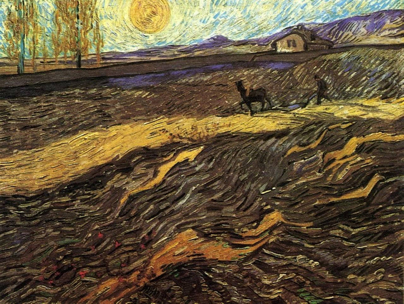 Enclosed Field with Ploughman by Vincent van Gogh — Oil Painting Reproduction
