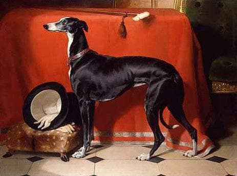 Eos, A Favorite Greyhound of Prince Albert by Edwin Henry Landseer — Oil Painting Reproduction