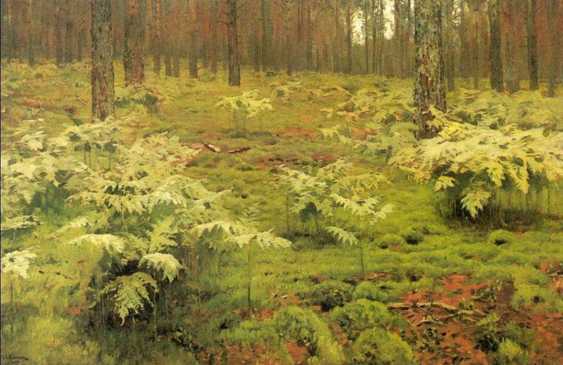 Ferns in a forest by Isaac Levitan — Oil Painting Reproduction