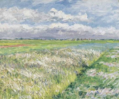 Fields, Plain of Gennevilliers in study