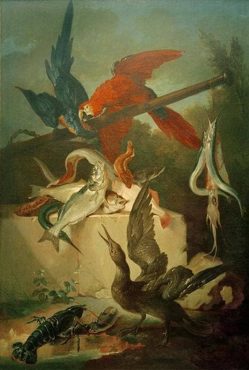 Fish, seabirds and papegias by Jean-Baptiste Oudry — Oil Painting Reproduction
