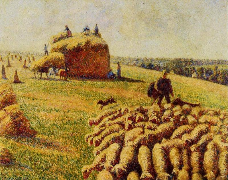 Flock of Sheep in a Field after the Harvest by Camille Pissarro — Oil Painting Reproduction