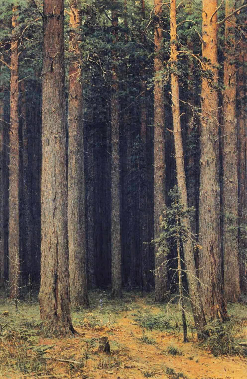 Forest Reserve. Pine Grove by Ivan Shishkin — Oil Painting Reproduction
