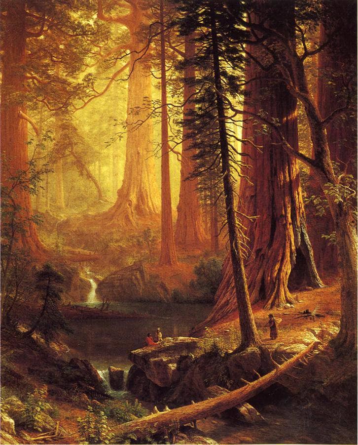 Giant Redwood Trees of California by Albert Bierstadt — Oil Painting Reproduction