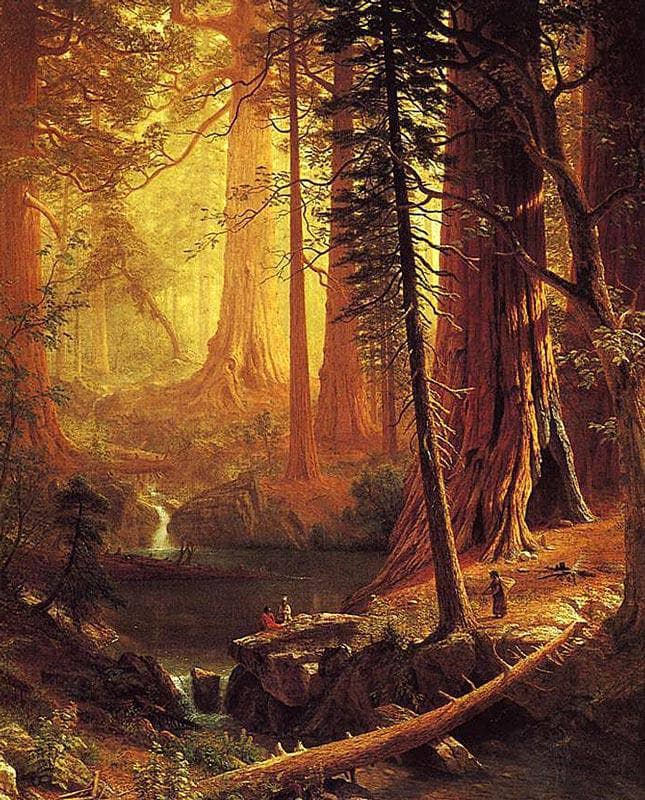 Giant Redwood Trees of California (Kingâs River, Big Tree Grove, California) by Albert Bierstadt — Oil Painting Reproduction