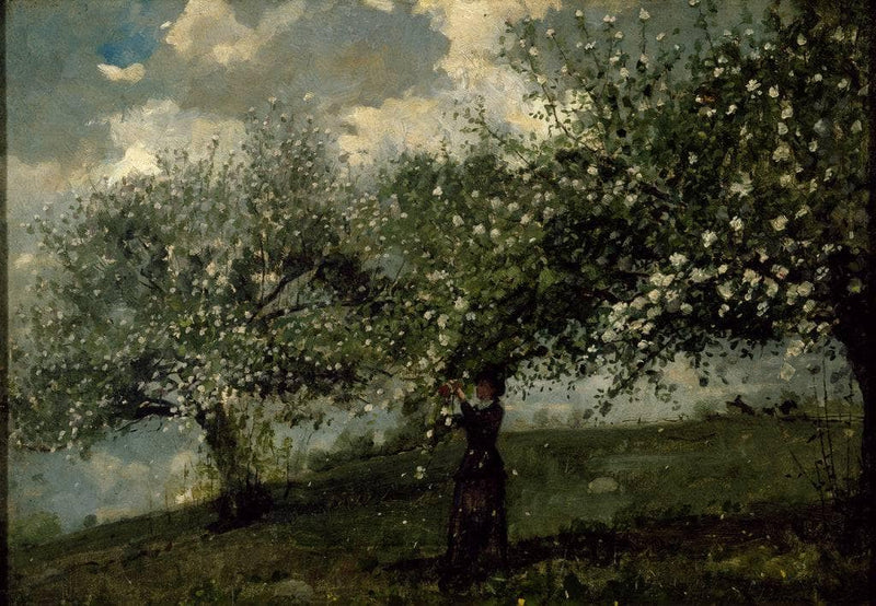 Girl Picking Apple Blossoms by Winslow Homer — Oil Painting Reproduction