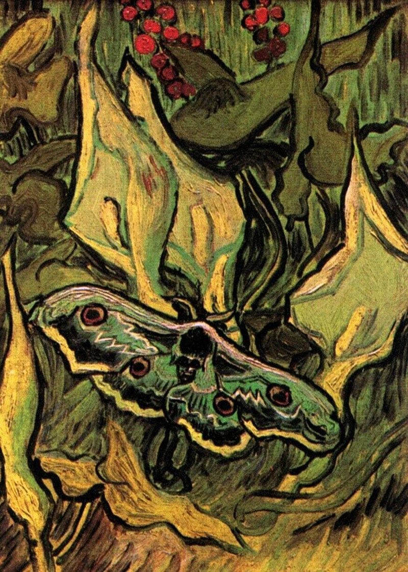 Great Peacock Moth by Vincent van Gogh — Oil Painting Reproduction
