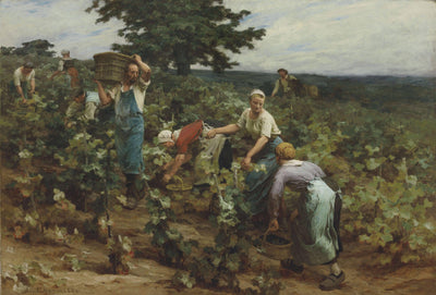 Harvesting at Mont-Saint-Père in living room