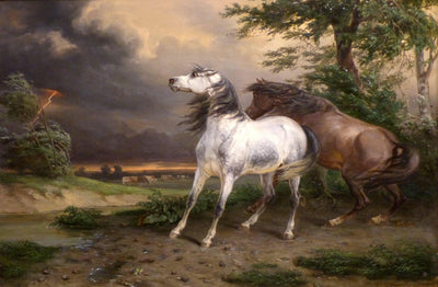 Horses Frightened by the Storm in kitchen