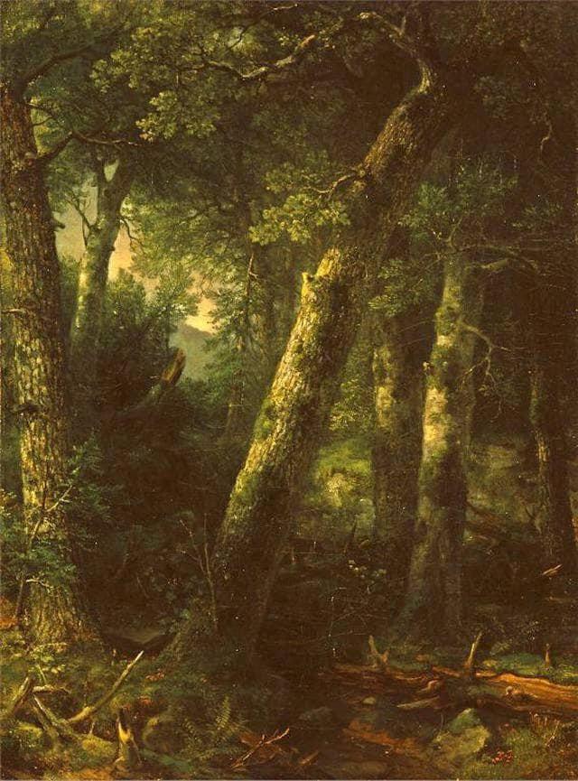 Forest in the Morning Light by Asher Brown Durand — Oil Painting Reproduction
