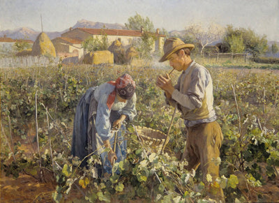 In the Vineyard in study