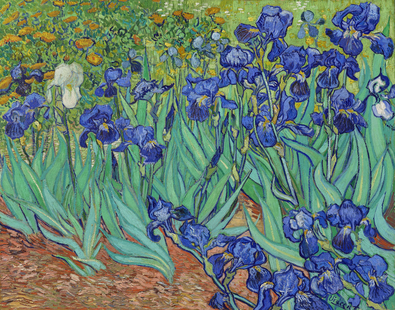 Irises by Vincent van Gogh — Oil Painting Reproduction
