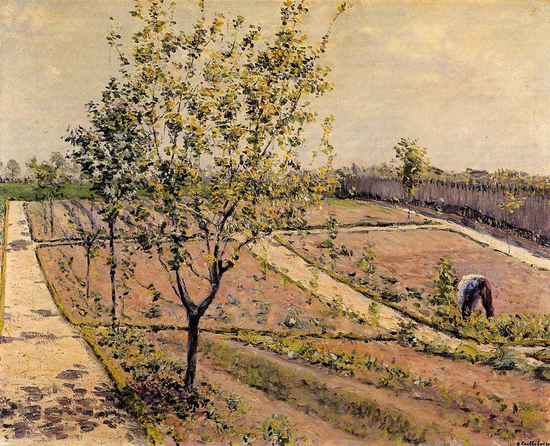 Kitchen Garden, Petit Gennevilliers by Gustave Caillebotte — Oil Painting Reproduction