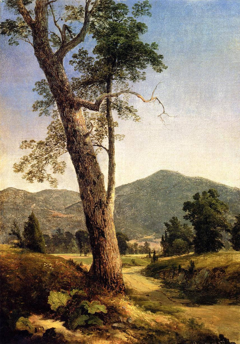 Landscape Beyond the Tree by Asher Brown Durand — Oil Painting Reproduction